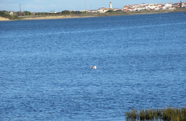 Between the countryside, the beach and the city.