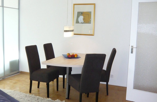 Between the opera and the palace, Friederike apartment, subway and bus right next door