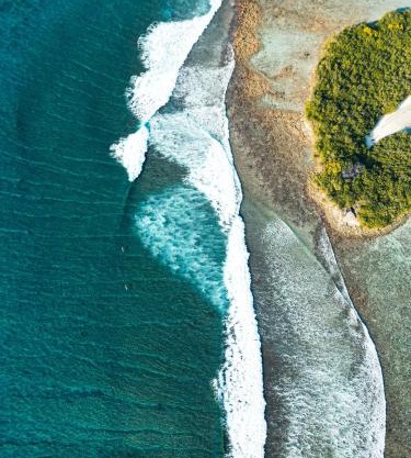 Bibee Surf