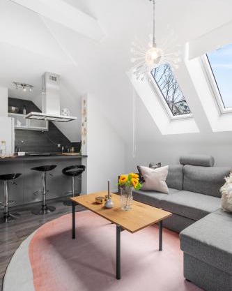 Big, family friendly apartment 6 min from the centrum