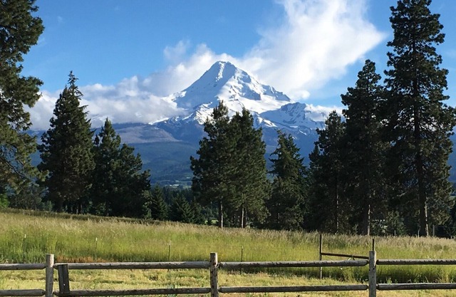Big Farm House on Fruit Loop - Great Mountain Views