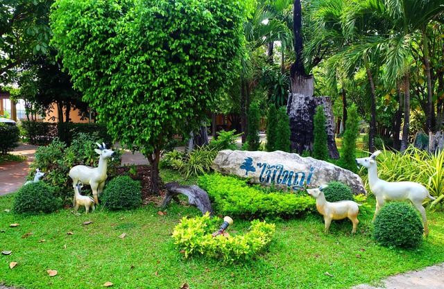 Big Tree Resort