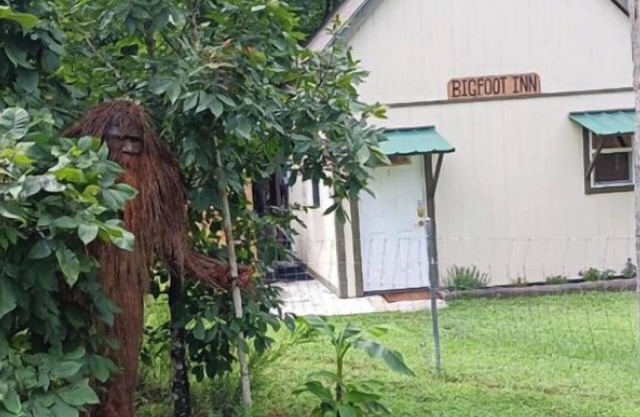 Bigfoot Inn -cabin with loft -near Illinois River