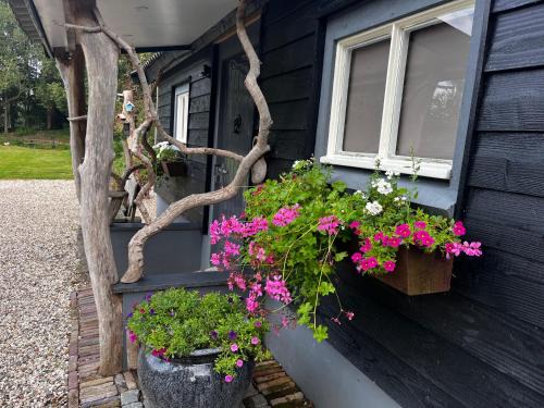 Bij Boom
