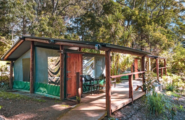 Binna Burra Rainforest Campsite