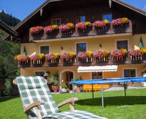 Bio-Bauernhof Vordergrubenbach - Familie Oberascher
