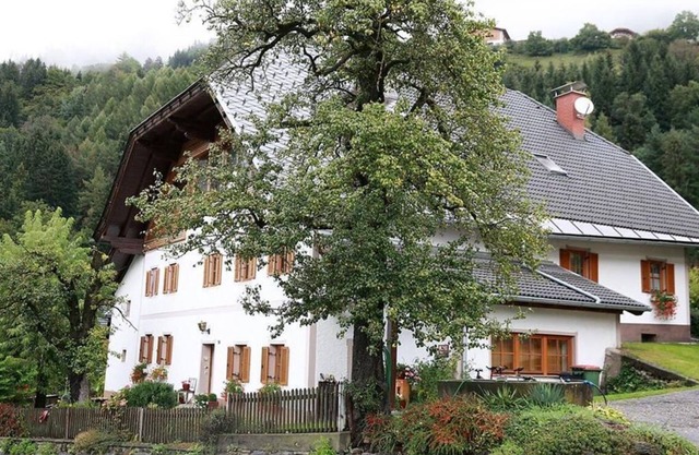 Biobauernhof Tauchner - Apartment
