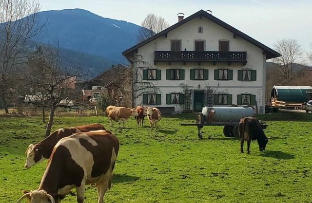 Biohof Dimper - Holiday apartment 2