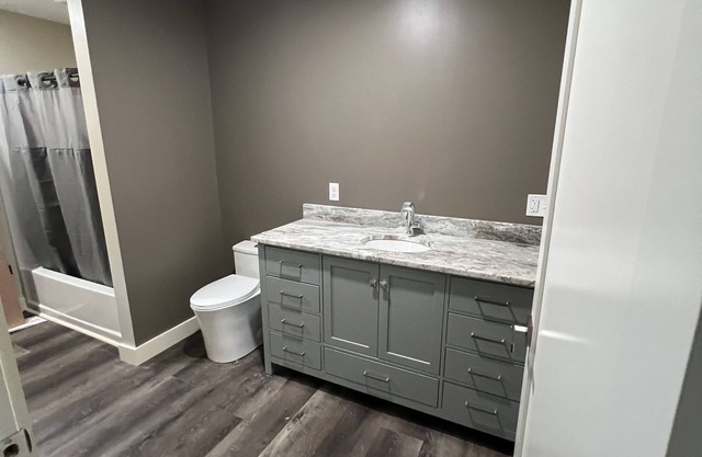 Birds Nest is a beautiful newly built home on Swanlake with 88 ft of deck!