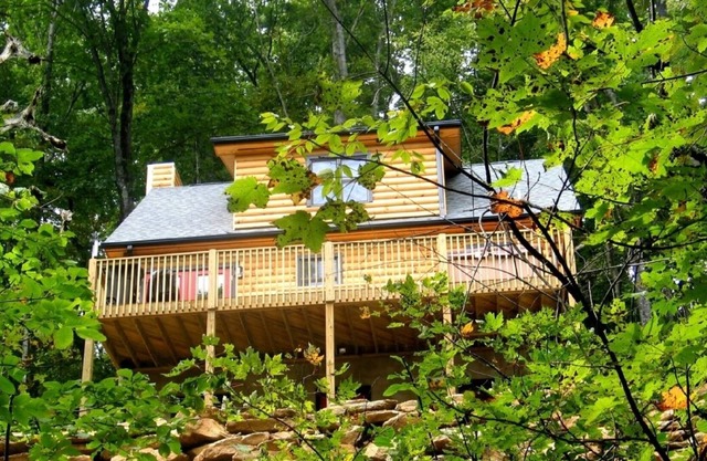 Black 'Beary' Cabin an incredible vacation retreat