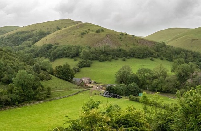 Black Lion Inn