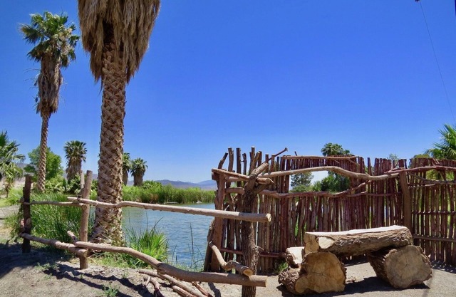 Black Rock Cabin - Your Death Valley Base Camp in the Shoshone Eco Village