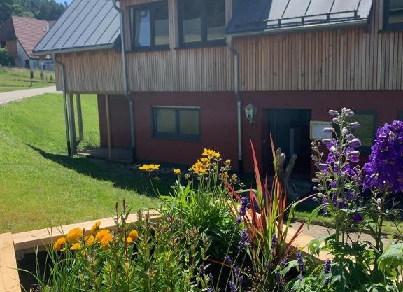 Blackforest Homestay Apartments