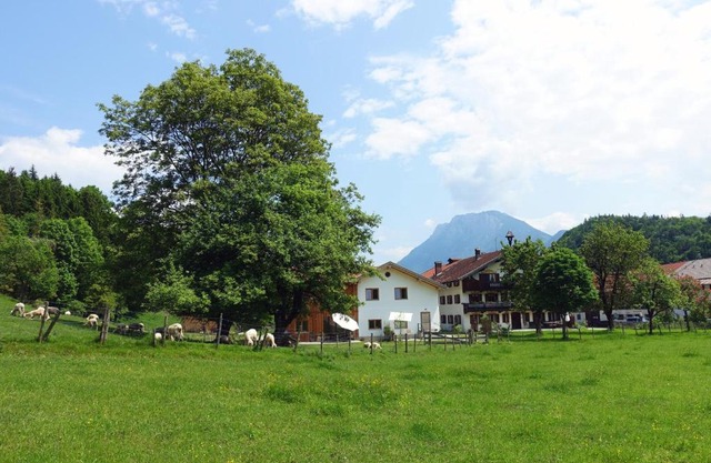Bleierhof