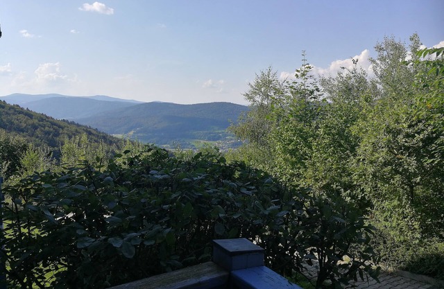 Blick zum Lallinger Winkel