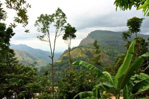Bliss In Viya
