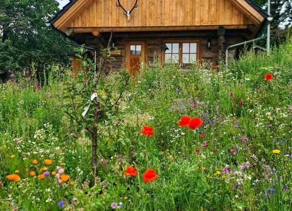 Blockhaus PanHütte