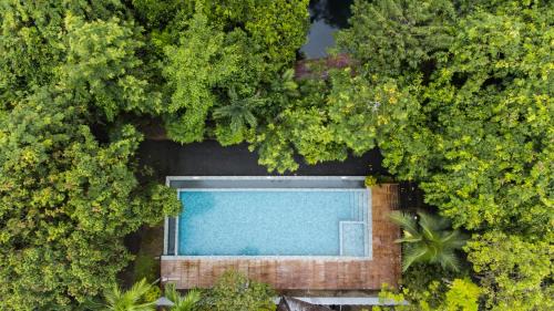 Blu Monkey Pooltara Krabi Hotel & Villas Pet Friendly