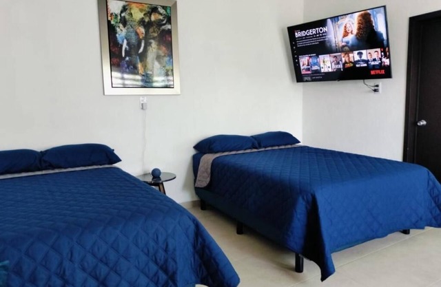 Blu Suite.