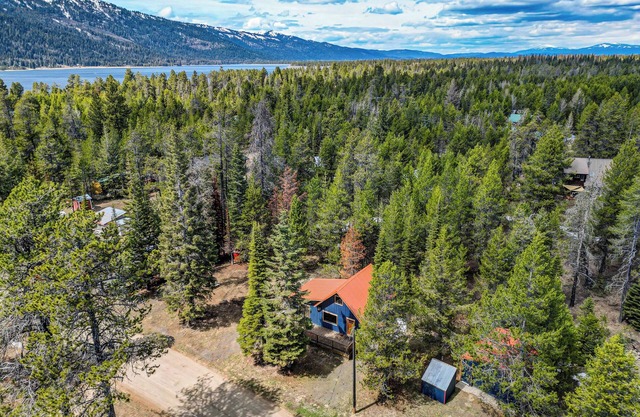 Blue Haven - Wooded, pet friendly home w/trailer parking, AC, and deck near lake