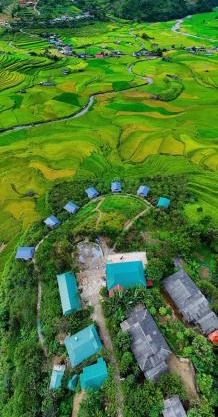 Blue home