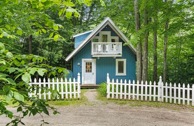Blue Jays - Forest escape near endless outdoor fun