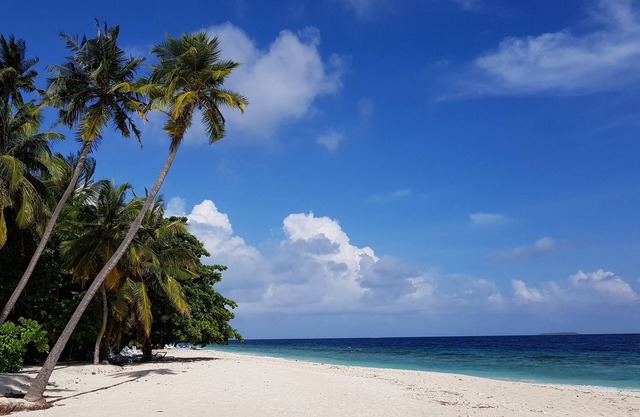 Blue World Dharavandhoo