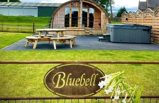 Bluebell