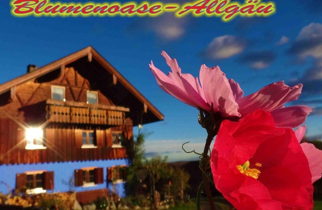 Blumenoase Allgäu