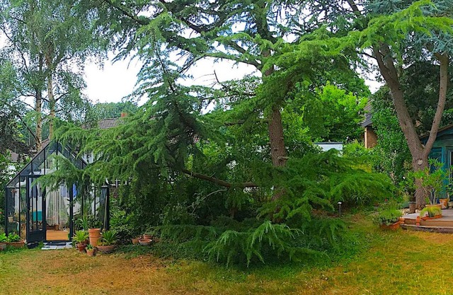 BnB Studio/ Apart. am Waldrand in Nideggen - BnB Studio/ Apartment am Waldrand für 2 Personen in