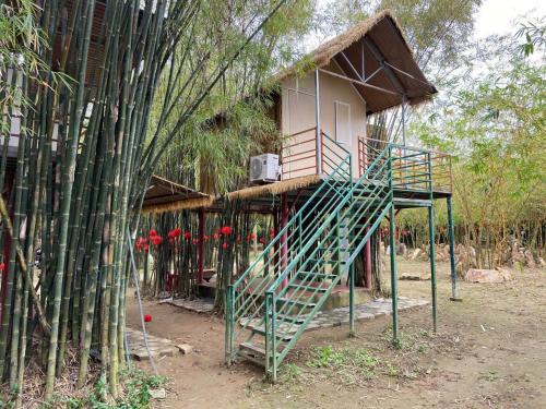 Bobo Glamping 2