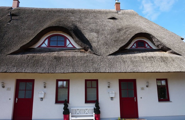 BODDENgut - Holiday home "Uferschwalbe" directly in nature
