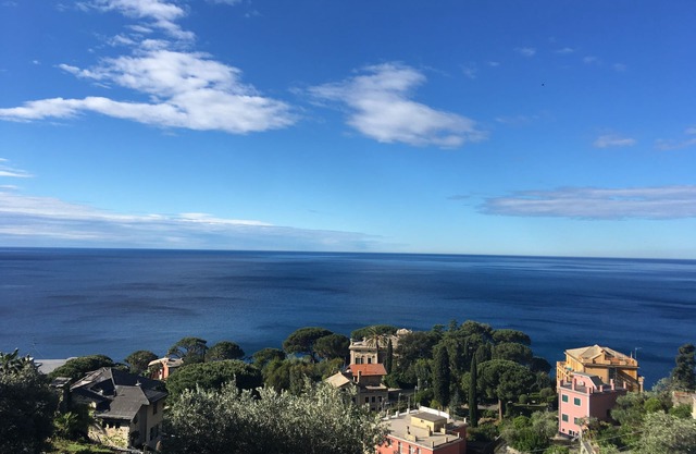 Bogliasco: Apartment with magnificent sea view, surrounded by greenery