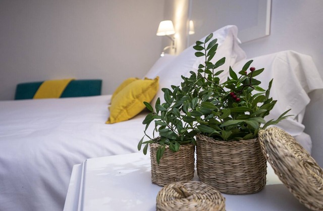 Bohemian loft in the city center of Palma close to the cathedral and sea side.