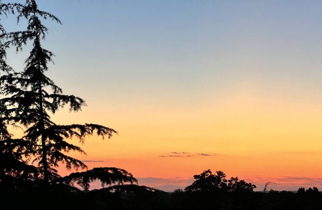Boise Foothills Retreat - perfect work/life balance accommodation's!