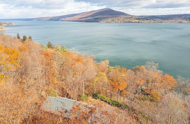 Bopple Hill Lodge - Modern Cabin with Lake View