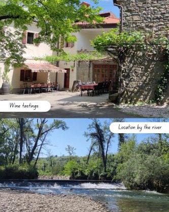 Bordon wines, estate with accommodation