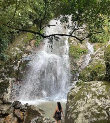 Bosque Azul