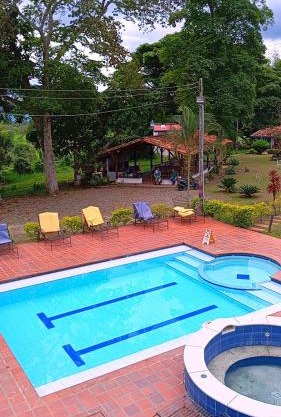 Bosque Del Quindío la mejorana