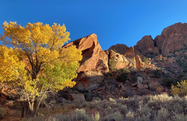 Boulder Canyons Nano Cabin