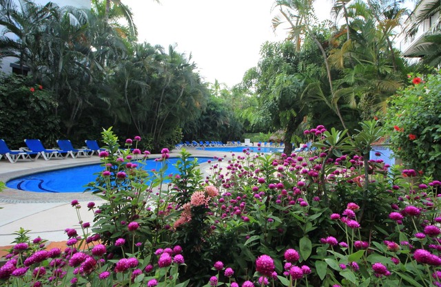 Boutique apartment in the heart of Puerto Vallarta. Beautiful and comfy