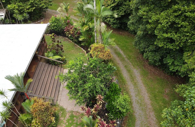 Bowenia Daintree Rainforest Retreat