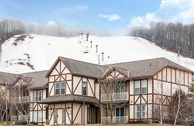 Boyne Mountain 1 BR Condo Full Kitchen, in-unit washer/dryer, fireplace (A2)