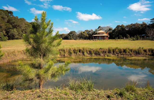Cozy, nature-filled, pet-friendly cottage