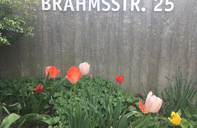 Brahms 25