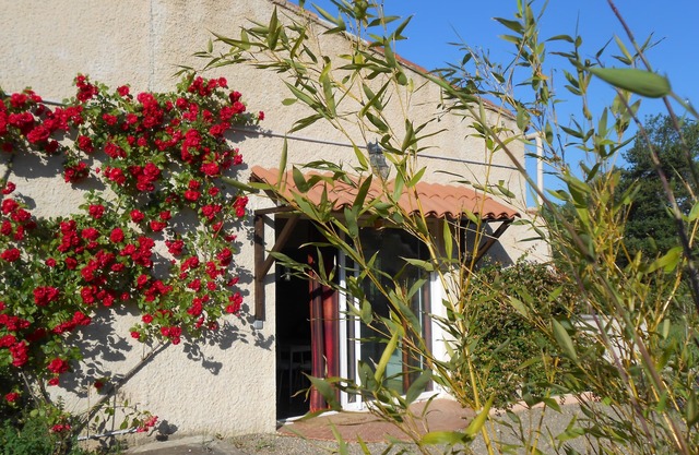 Brand new apartment located 16 km away from the Sainte-Croix Lake