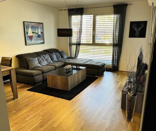 Brand New Apartment, Top Location-Near VIC/Danube