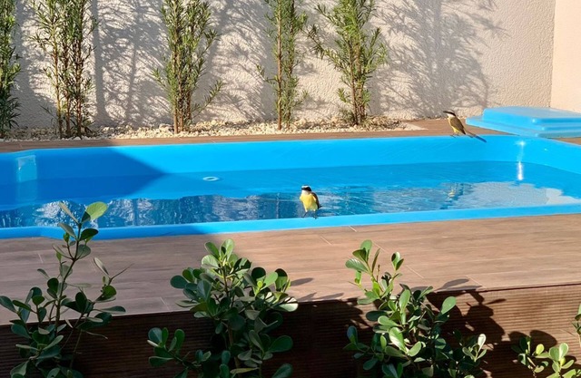 Brand new beautiful house with swimming pool in central Foz