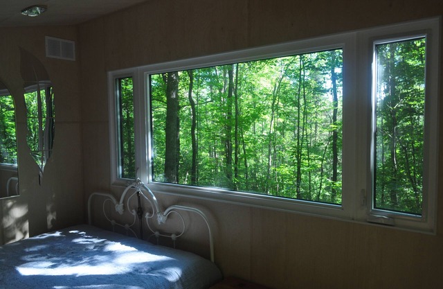 Brand New Dream Den Bunkie for Two with Canoe, River Access, and Scenic Trailsn