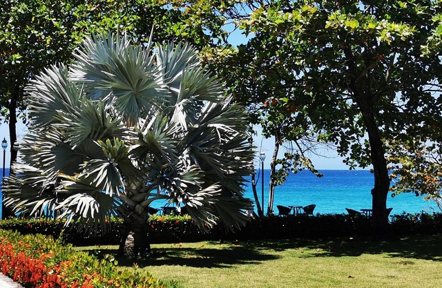 Hispaniola Beach 